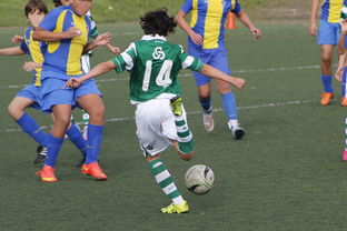 乐鱼体育平台-中国足球赛事直播流量与关注度指数追踪，中国足球关注度数据