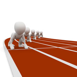 乐鱼体育在线登陆-中小学体育健康教育课程开发与实践，中小学体育与健康课程指导纲要